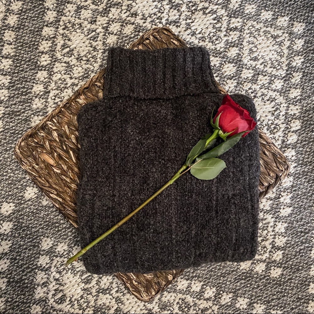Express Turtle Neck Sweater